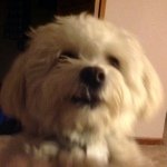 Benjamin McCarthy - @ben_bacon392 - Instagram