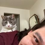 Benjamin McCarthy - @benkenmccarthy - Instagram