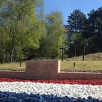 Benjamin Mcclain - @benjaminmcclain81 - Instagram