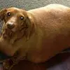 Ben McFadden - @ben.mcfadden - TikTok