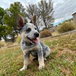 Ben mcgee - @benjamin_mcgee03 - Instagram
