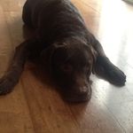 Benjamin McKeown - @faintingkoala - Instagram