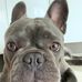 Benjamin McKnight - Facebook