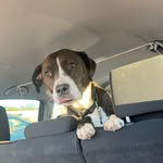 Benjamin Mclain - @fish_whistle_outfitt3rs - Instagram