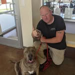 Benjamin Mclaughlin - @precisionk9 - Instagram