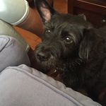 Benjamin Davis McNeill - @bennydmcneill - Instagram