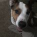Benjamin Meyers - Facebook