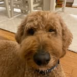 Benjamin Meyers - @bennyboy22223 - Instagram
