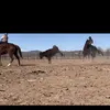 Benjamin Navarrette - @benjamin.navarret1 - TikTok