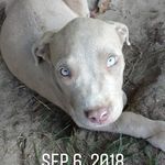 Benjamin Neal - @benjaminneal61 - Instagram