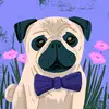 benjaminneely752 - @benjaminneely752 - TikTok
