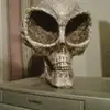 ancient sky dude - @benjaminnegron43 - TikTok