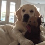 Benjamin Golden Newell - @bigben_2014 - Instagram