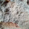 benjaminnewland - @benjaminnewland - TikTok