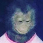 Benjamin Nilsson - @bonkjamin - Instagram