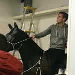 benjamin nilsson - @bananbanjo - Instagram