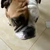 Ben Nisan - @ben.nisan3 - TikTok