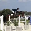 Benjamin Noonan - @ben_eventing - TikTok