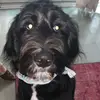 norman_benjamin - @norman_benjamin - TikTok