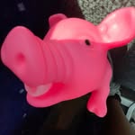 Benjamin O'Neal - @benjiham357 - Instagram