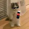 Benjamin Orozco - @benjapr3355b - TikTok