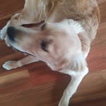 Benjamin partington - @benjamin_partington - Instagram