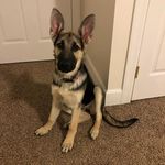 Benjamin Partlow - @benjaminpartlow - Instagram