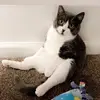 Benjamin Peel - @benjipeel - TikTok