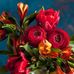 Benjamin Phillip - Facebook