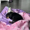 Ben Plourde - @ben.plourde0 - TikTok