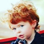 Benjamin - @benjamin.porto.wolf - Instagram