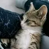 benjaminprosser501 - @benjaminprosser501 - TikTok
