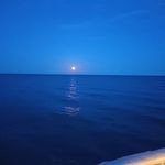benjaminprosser - @benjaminprosser54 - Instagram