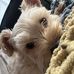 Benjamin Purvis - Facebook