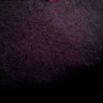 benjamin Pyle - @pylebenjamin - Instagram