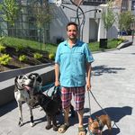 Benjamin Quezada - @i_speak_dog - Instagram