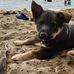 Benjamin Quijano - Facebook
