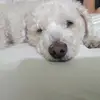 Benjamin Quiñonez - @benjamin.quionez3 - TikTok