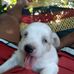 Benjamin Quinto - Facebook