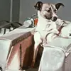 benjamin rabin - @benjamin.rabin5 - TikTok