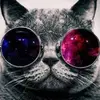 Bénjamin Trader - @benjamintrader - TikTok