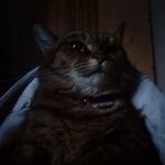 Benjamin R - @benjaminradtke1 - Instagram