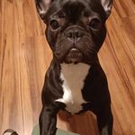 Benjamin Radtke - @radtke9846 - Instagram