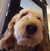 Benjamin Rainville - Facebook