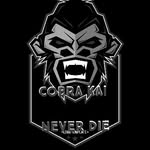 cobra kai - @benjaminramezani209 - Instagram