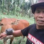 Randall Benjamin - @benjamin_randall_420 - Instagram