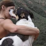 Denali Benjamin Frank Ranger - @denaliwanderpup - Instagram