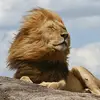 Benjamin_Rao - @benjamin_rao986 - TikTok