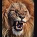 Benjamin Rastoll - Facebook