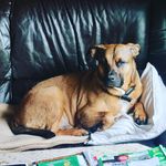 BenjaminRathjens - @benjaminrathjens3 - Instagram